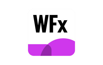 Winner Flex